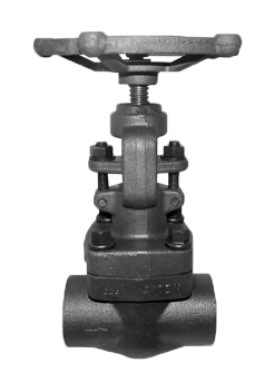 VALVULA COMPUERTA OS&Y A-105 TRIM-8/CLASE 800 S.W. 3/4 INCH